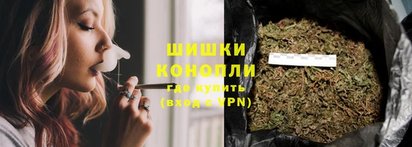 стафф Заводоуковск