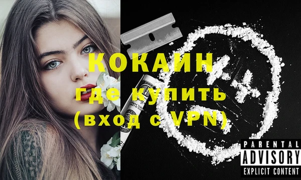 стафф Заводоуковск