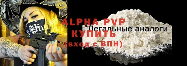 стафф Заводоуковск